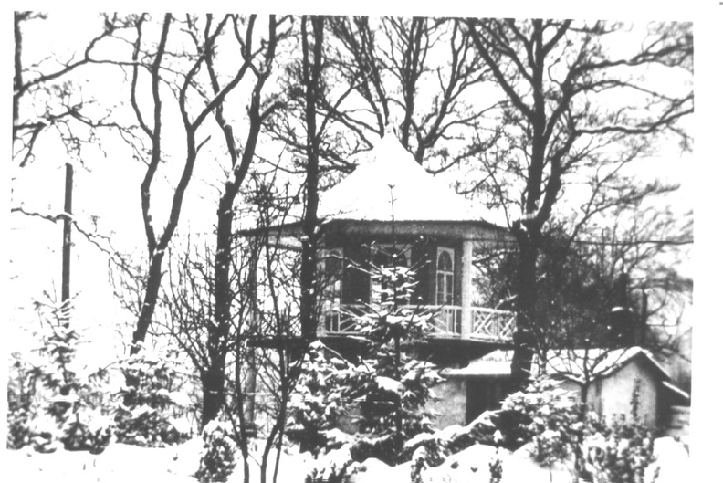 3154_Hamseweg-Koepel.jpg