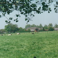 HOL56 Holleweg 56