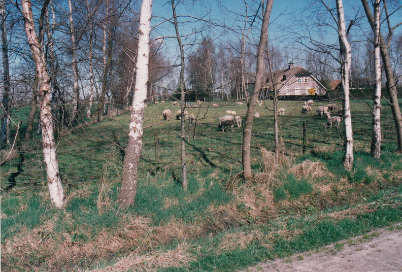 VW29 Veenweg 29.jpg