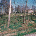VW29 Veenweg 29