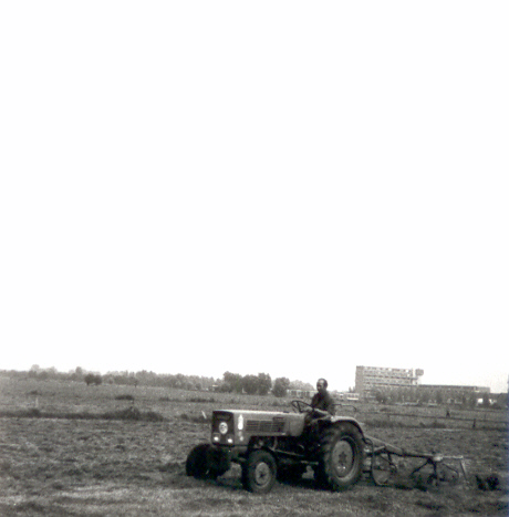 3106_JvDijk_Schoonoord.jpg